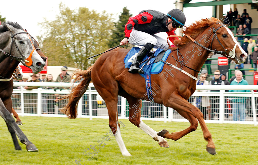 Steeve-0002 
 STEEVE (William Carson) wins The Simon & Nerys Dutfield Memorial British EBF Novice Stakes Salisbury 30 Apr 2018 - Pic Steven Cargill / Racingfotos.com