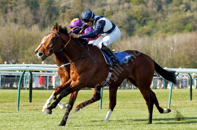 Temple-Of-Heaven-0006 
 TEMPLE OF HEAVEN (Sean Levey) wins The Soiza Family Novice Stakes
Nottingham 20 Apr 2019 - Pic Steven Cargill / Racingfotos.com