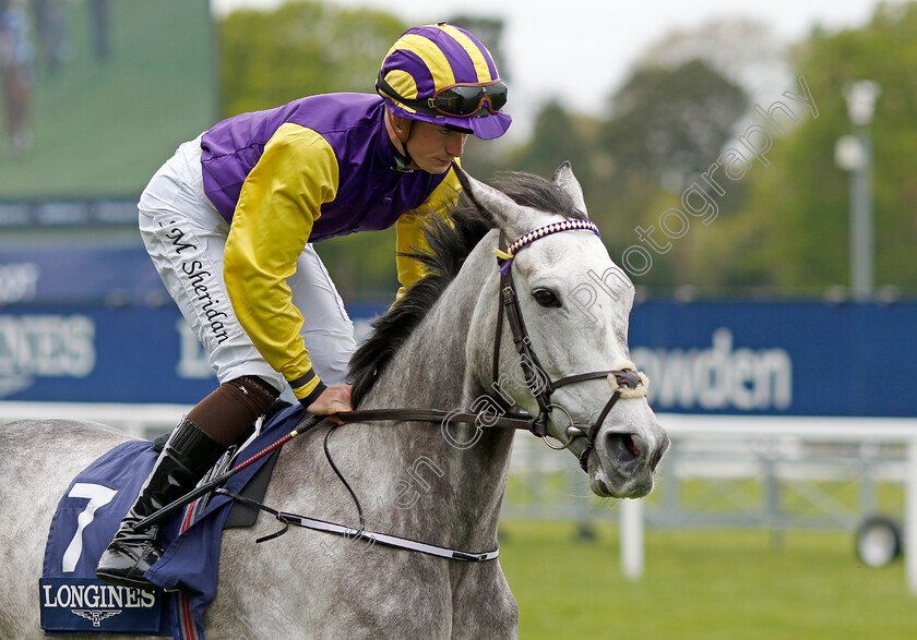 Princess-Zoe-0001 
 PRINCESS ZOE (Joseph Sheridan) winner of The Longines Sagaro Stakes
Ascot 27 Apr 2022 - Pic Steven Cargill / Racingfotos.com