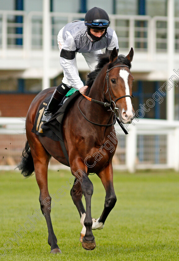 Mushirif-0002 
 MUSHIRIF (Cameron Noble)
Nottingham 24 Oct 2020 - Pic Steven Cargill / Racingfotos.com