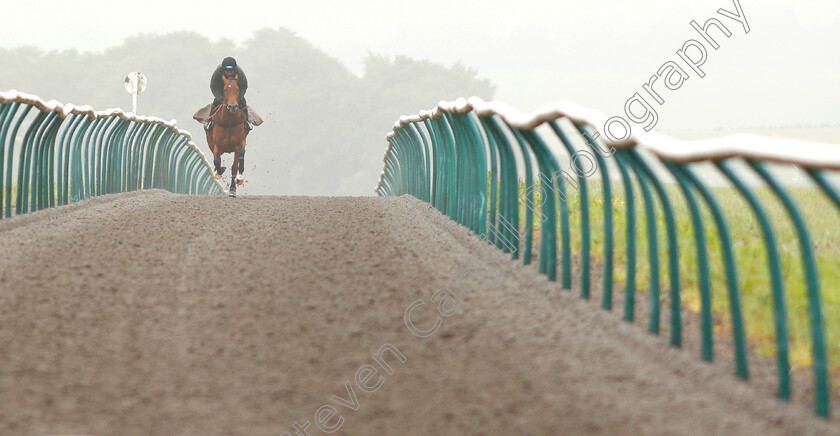 Knight-To-Behold-0001 
 KNIGHT TO BEHOLD, ridden by Mohammed Abdul Qazafi Mirza, on the gallops in preparation for The investec Derby
Lambourn 31 May 2018 - Pic Steven Cargill / Racingfotos.com