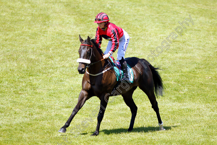 The-Armed-Man-0001 
 THE ARMED MAN (Paula Muir)
Thirsk 4 Jul 2018 - Pic Steven Cargill / Racingfotos.com