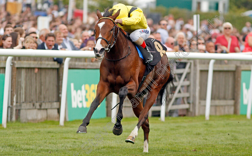 Salayel-0001 
 SALAYEL (Andrea Atzeni)
Newmarket 13 Jul 2019 - Pic Steven Cargill / Racingfotos.com