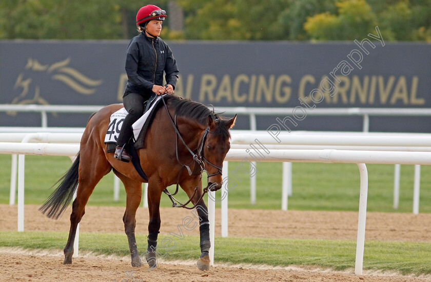 Emaraaty-Ana-0005 
 EMARAATY ANA training at the Dubai Racing Carnival
Meydan 1 Mar 2024 - Pic Steven Cargill / Racingfotos.com