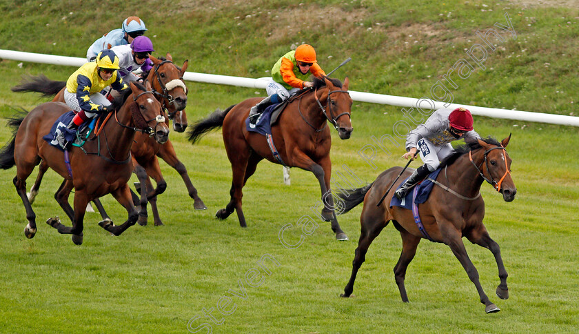 Aljalela-0001 
 ALJALELA (Thore Hammer Hansen) beats O'REILLY'S PASS (left) in The Heed Your Hunch At Betway Handicap
Lingfield 7 Sep 2020 - Pic Steven Cargill / Racingfotos.com