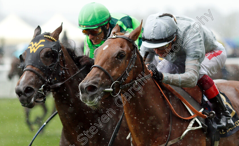 Raffle-Prize-0007 
 RAFFLE PRIZE (right, Frankie Dettori) beats KIMARI (left) in The Queen Mary Stakes
Royal Ascot 19 Jun 2019 - Pic Steven Cargill / Racingfotos.com