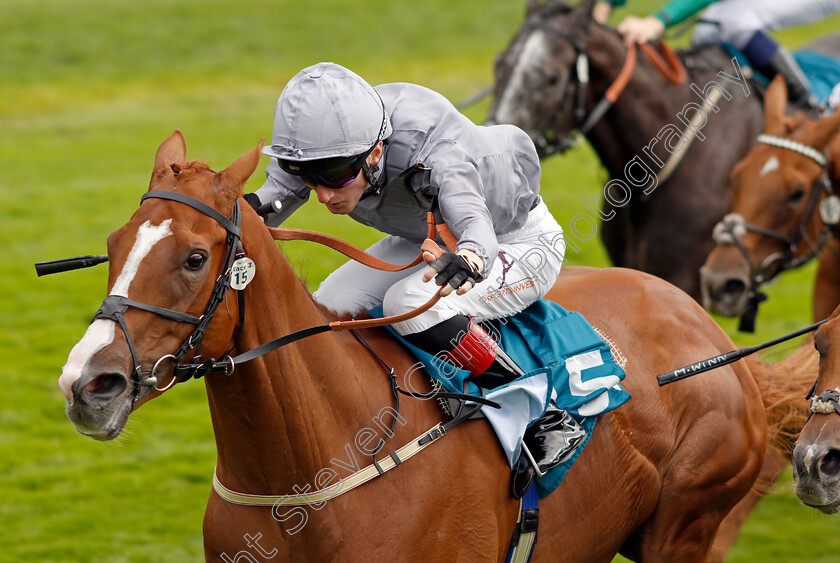 Thunder-Run-0001 
 THUNDER RUN (David Egan) wins The Clipper Handicap
York 22 Aug 2024 - Pic Steven Cargill / Racingfotos.com