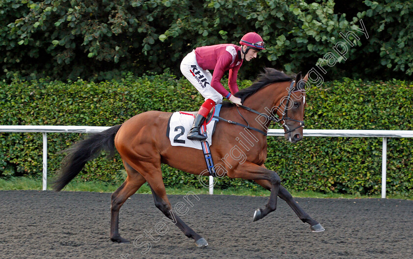 Altraif-0001 
 ALTRAIF (David Egan) winner of The British Stallion Studs EBF Novice Stakes
Kempton 3 Sep 2021 - Pic Steven Cargill / Racingfotos.com