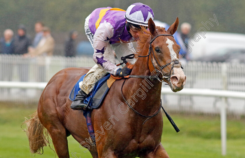 Starzintheireyes-0001 
 STARZINTHEIREYES (Rossa Ryan) wins The British Stallion Studs EBF Novice Stakes
Leicester 10 Sep 2024 - Pic Steven Cargill / Racingfotos.com