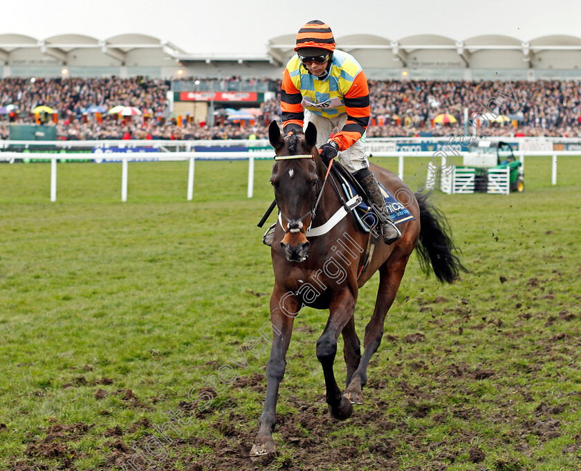 Might-Bite-0001 
 MIGHT BITE (Nico de Boinville) Cheltenham 16 Mar 2018 - Pic Steven Cargill / Racingfotos.com