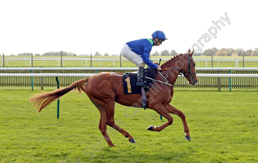 Silver-Kitten 
 SILVER KITTEN (Joe Fanning)
Newmarket 20 Oct 2021 - Pic Steven Cargill / Racingfotos.com