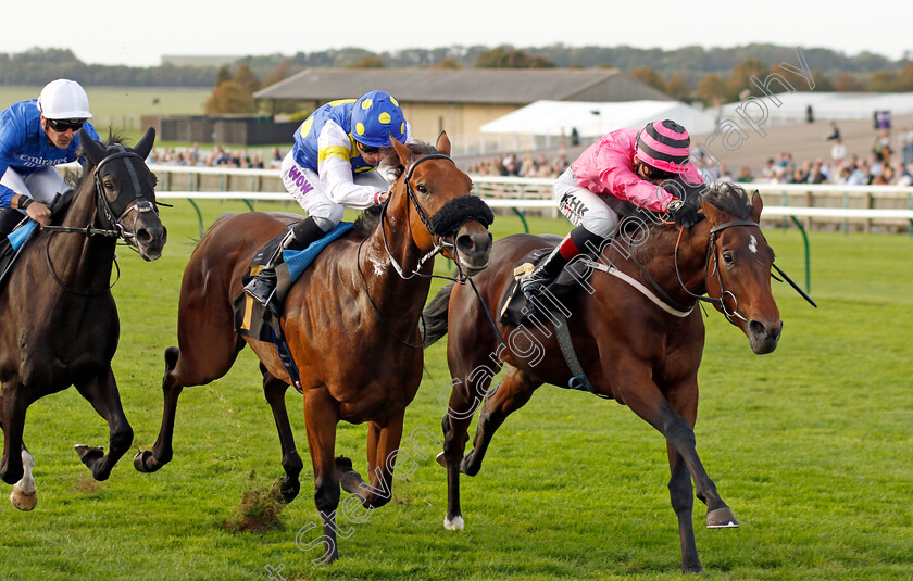 Sons-And-Lovers-0002 
 SONS AND LOVERS (David Egan) beats PLACO (left) in The Virgin Bet Daily Price Boost Maiden Stakes
Newmarket 7 Oct 2023 - Pic Steven Cargill / Racingfotos.com