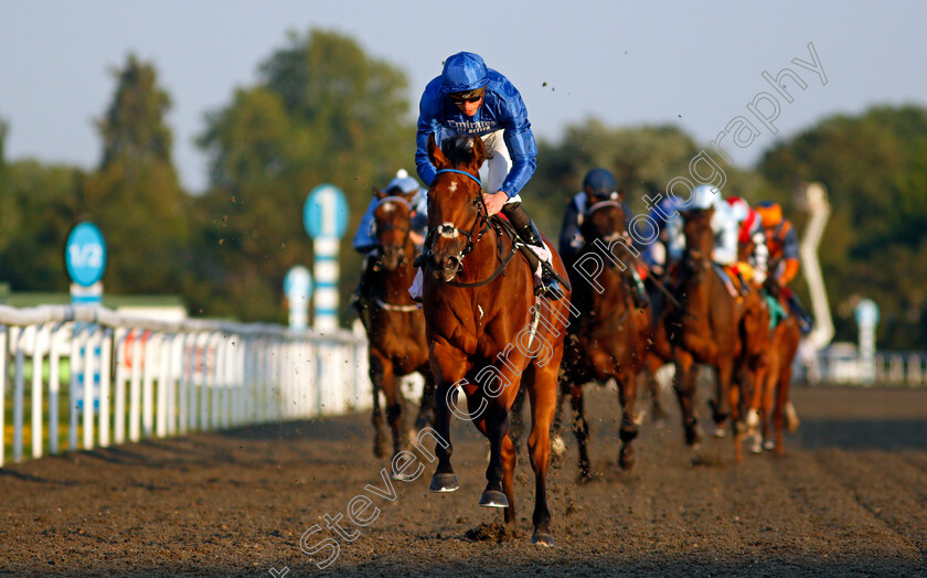 Pennymoor-0007 
 PENNYMOOR (James Doyle) wins The Unibet 3 Uniboosts A Day Fillies Novice Stakes
Kempton 4 Aug 2021 - Pic Steven Cargill / Racingfotos.com