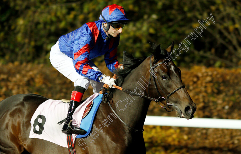 Global-Acclamation-0001 
 GLOBAL ACCLAMATION (Gerald Mosse)
Kempton 21 Nov 2018 - Pic Steven Cargill / Racingfotos.com