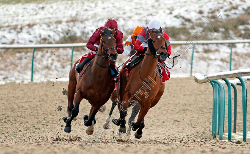 Twilight-Heir-0003 
 TWILIGHT HEIR (left, Cieren Fallon) beats CHARLIE FELLOWES (right) in The Get Your Ladbrokes Daily Odds Boost Handicap
Lingfield 13 Feb 2021 - Pic Steven Cargill / Racingfotos.com