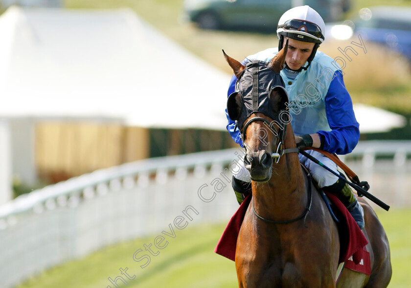 Sonny-Liston-0001 
 SONNY LISTON (Rossa Ryan)
Goodwood 31 Jul 2024 - Pic Steven Cargill / Racingfotos.com