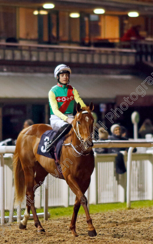 Kon-Tiki-0005 
 KON TIKI (Jonny Peate) winner of The Betmgm Irish EBF Fillies Novice Stakes Div2
Wolverhampton 20 Dec 2024 - Pic Steven Cargill / Racingfotos.com