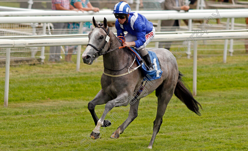 Jadhlaan-0006 
 JADHLAAN (Franny Norton) wins The eventmasters.co.uk British EBF Novice Stakes
York 11 Jun 2021 - Pic Steven Cargill / Racingfotos.com