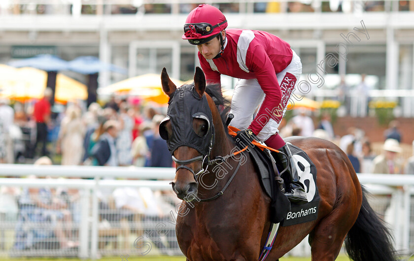 Momkin-0001 
 MOMKIN (Oisin Murphy)
Goodwood 2 Aug 2019 - Pic Steven Cargill / Racingfotos.com