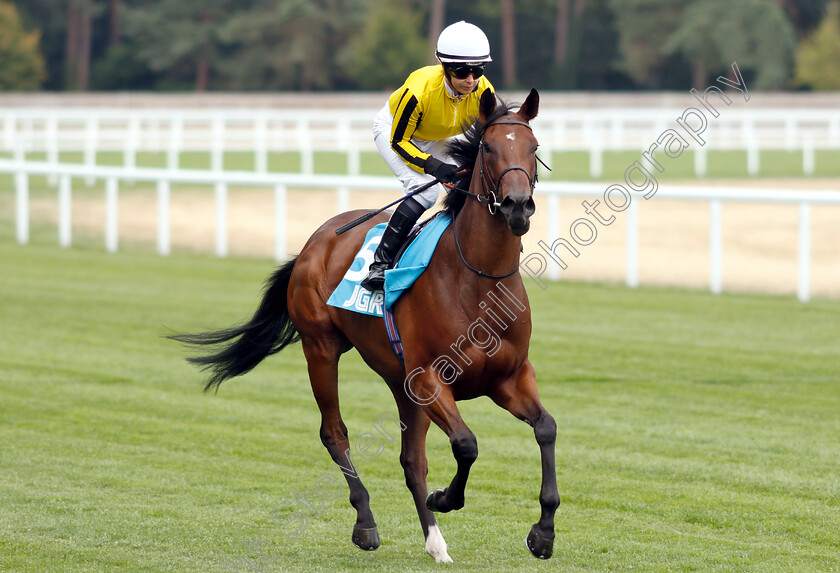 Just-Be-Friendly-0001 
 JUST BE FRIENDLY (Hayley Turner)
Ascot 27 Jul 2018 - Pic Steven Cargill / Racingfotos.com