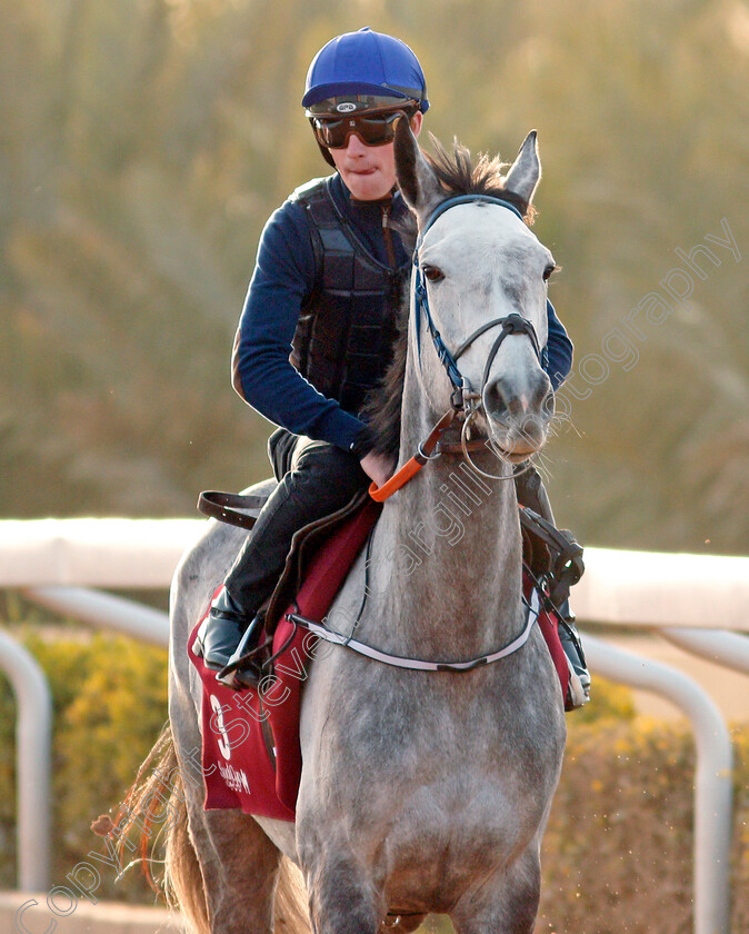 Princess-Zoe-0001 
 PRINCESS ZOE training for the Turf Handicap
King Abdulaziz Racetrack, Riyadh, Saudi Arabia 24 Feb 2022 - Pic Steven Cargill / Racingfotos.com