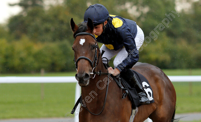 With-Envy-0001 
 WITH ENVY (William Buick)
Chelmsford 6 Sep 2018 - Pic Steven Cargill / Racingfotos.com