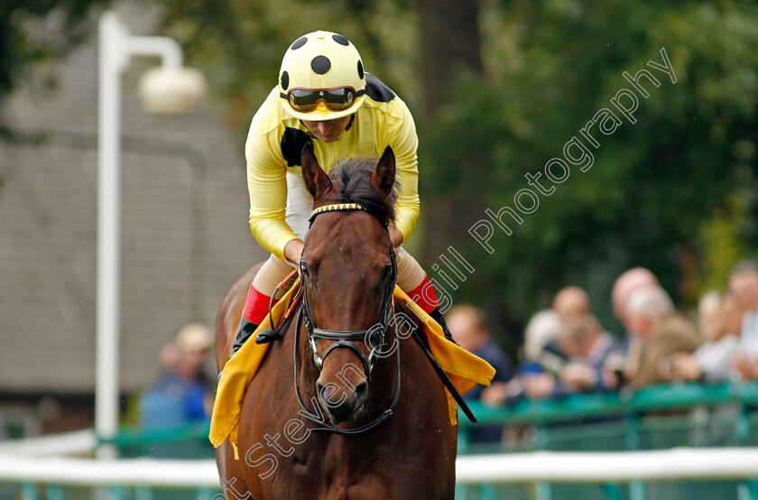 Emaraaty-Ana-0001 
 EMARAATY ANA (Andrea Atzeni) winner of The Betfair Sprint Cup
Haydock 4 Sep 2021 - Pic Steven Cargill / Racingfotos.com