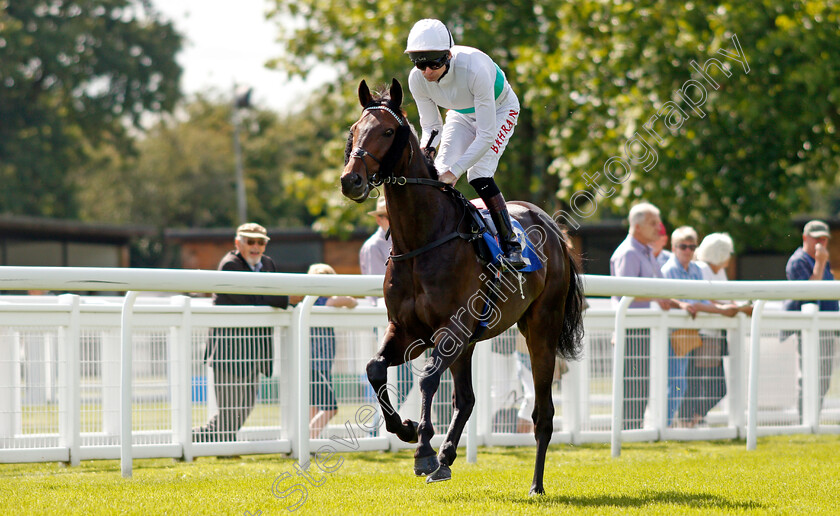 Sevenal-0001 
 SEVENAL (Robert Havlin) winner of The Michael Brunton Memorial Pembroke Handicap
Salisbury 11 Aug 2021 - Pic Steven Cargill / Racingfotos.com