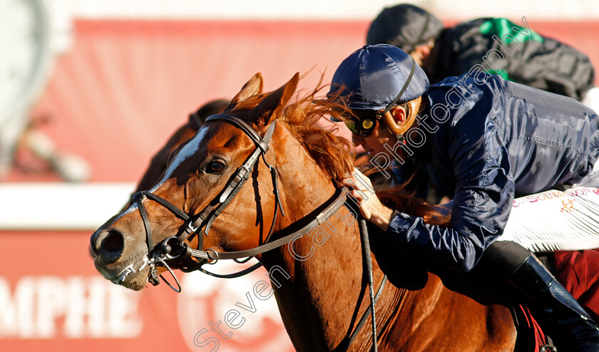 Grateful-0001 
 GRATEFUL (Christophe Soumillon) wins The Qatar Prix de Royallieu 
Longchamp 5 Oct 2024 - Pic Steven Cargill / Racingfotos.com