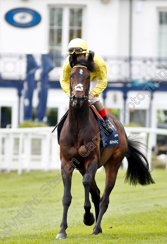 Mackaar-0001 
 MACKAAR (Andrea Atzeni)
Epsom 24 Apr 2019 - Pic Steven Cargill / Racingfotos.com