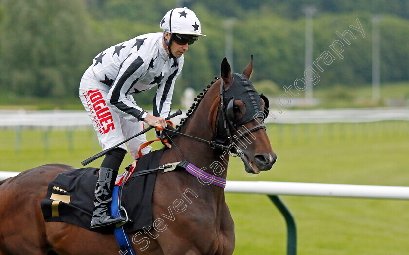 Under-Fox-0001 
 UNDER FOX (Jack Mitchell)
Nottingham 30 May 2023 - Pic Steven Cargill / Racingfotos.com