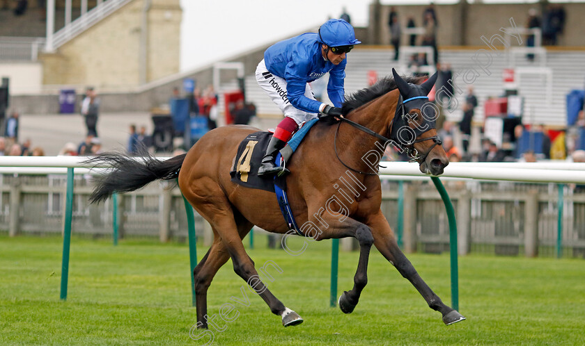 Trawlerman-0003 
 TRAWLERMAN (Frankie Dettori) wins The Jockey Club Rose Bowl Stakes
Newmarket 28 Sep 2023 - Pic Steven Cargill / Racingfotos.com