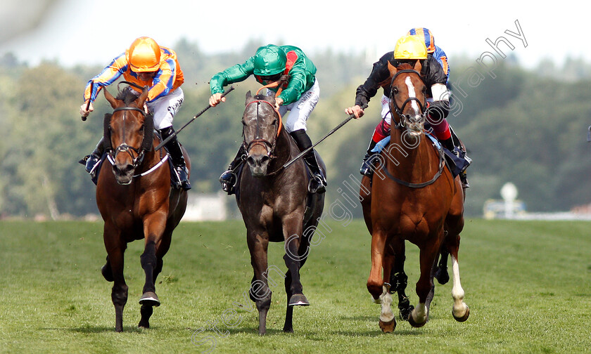 Stradivarius-0006 
 STRADIVARIUS (right, Frankie Dettori) beats VAZIRABAD (centre) and TORCEDOR (left) in The Gold Cup
Royal Ascot 21 Jun 2018 - Pic Steven Cargill / Racingfotos.com