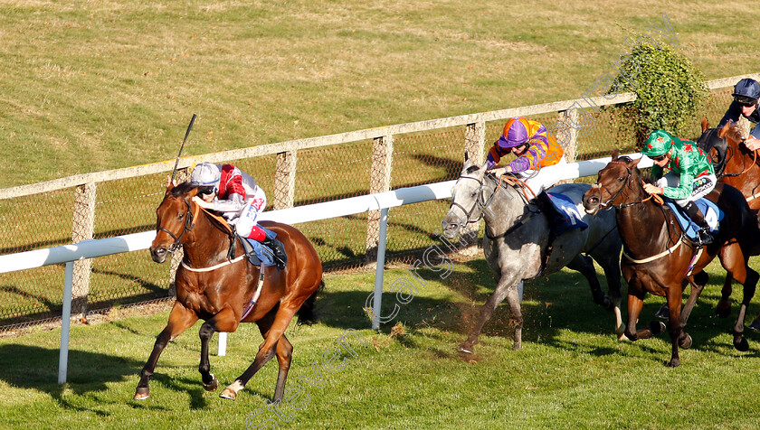 Beyond-Equal-0004 
 BEYOND EQUAL (Fran Berry) wins The Booker Ltd Handicap
Salisbury 3 Oct 2018 - Pic Steven Cargill / Racingfotos.com