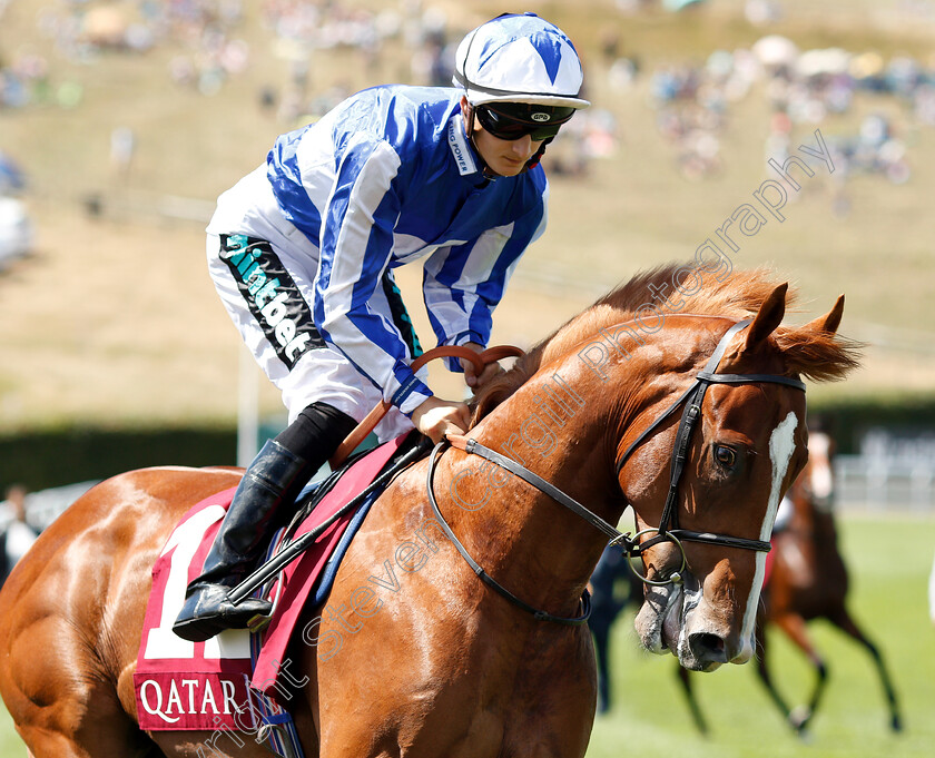 Junius-Brutus-0001 
 JUNIUS BRUTUS (Harry Bentley)
Goodwood 31 Jul 2018 - Pic Steven Cargill / Racingfotos.com