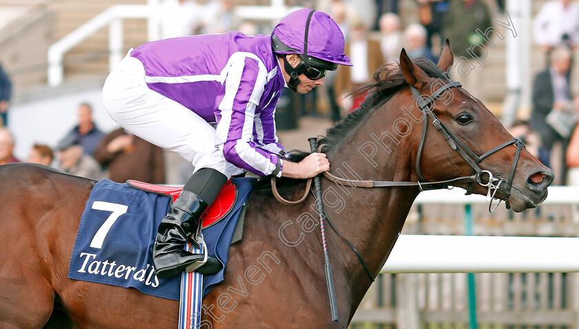 Wichita-0002 
 WICHITA (Ryan Moore) wins The Tattersalls Stakes
Newmarket 26 Sep 2019 - Pic Steven Cargill / Racingfotos.com