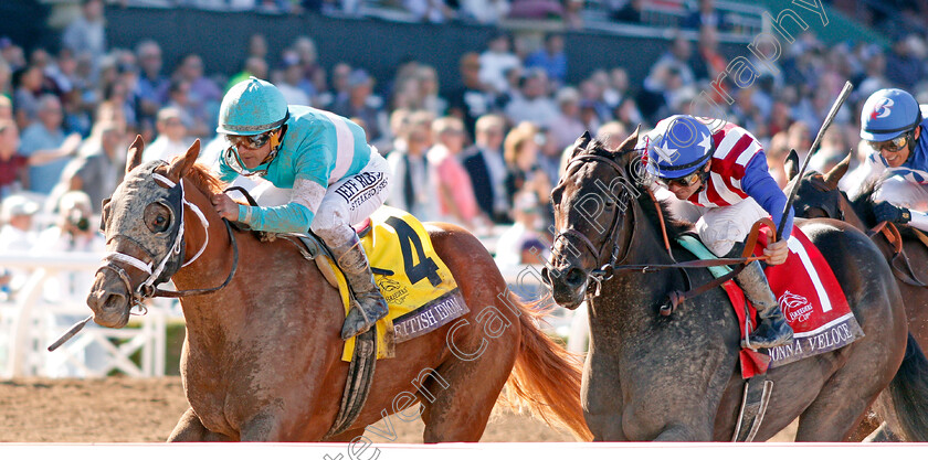 British-Idiom-0005 
 BRITISH IDIOM (left, Javier Castellano) beats DONNA VELOCE (right) in The Breeders' Cup Juvenile Fillies
Santa Anita USA 1 Nov 2019 - Pic Steven Cargill / Racingfotos.com