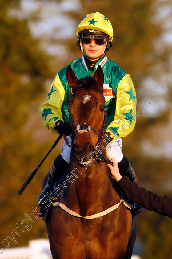 Golden-Mayflower-0001 
 GOLDEN MAYFLOWER (Stefano Cherchi)
Lingfield 21 Jan 2023 - Pic Steven Cargill / Racingfotos.com