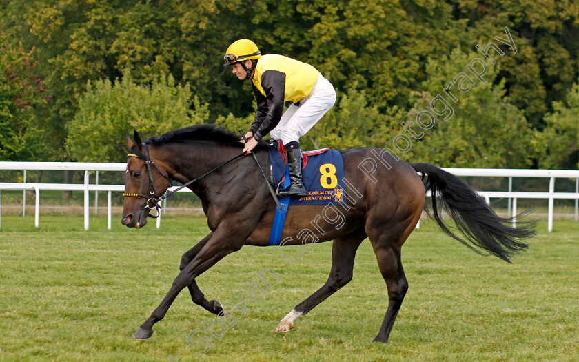 Panjari-0001 
 PANJARI (Jozef Bojko)
Bro Park 18 Sep 2022 - Pic Steven Cargill / Racingfotos.com