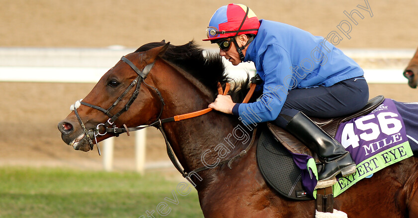 Expert-Eye-0001 
 EXPERT EYE (Frankie Dettori) exercising ahead of The Breeders' Cup Mile
Churchill Downs USA 31 Oct 2018 - Pic Steven Cargill / Racingfotos.com