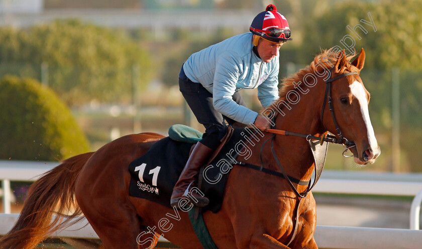 The-Wizard-Of-Eye-0001 
 THE WIZARD OF EYE training for the Saudi Derby
King Abdulaziz Racetrack, Riyadh, Saudi Arabia 23 Feb 2022 - Pic Steven Cargill / Racingfotos.com