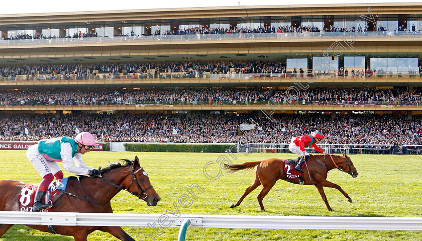 Waldgeist-0007 
 WALDGEIST (P C Boudot) beats ENABLE (left) in The Qatar Prix De L'Arc De Triomphe
Longchamp 6 Oct 2019 - Pic Steven Cargill / Racingfotos.com