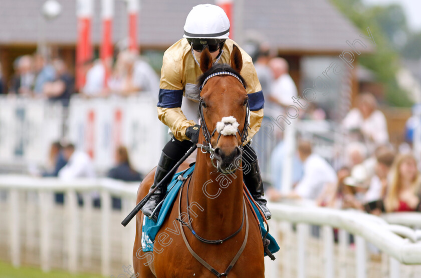 Garner-0001 
 GARNER (Hollie Doyle)
York 17 Jun 2023 - Pic Steven Cargill / Racingfotos.com