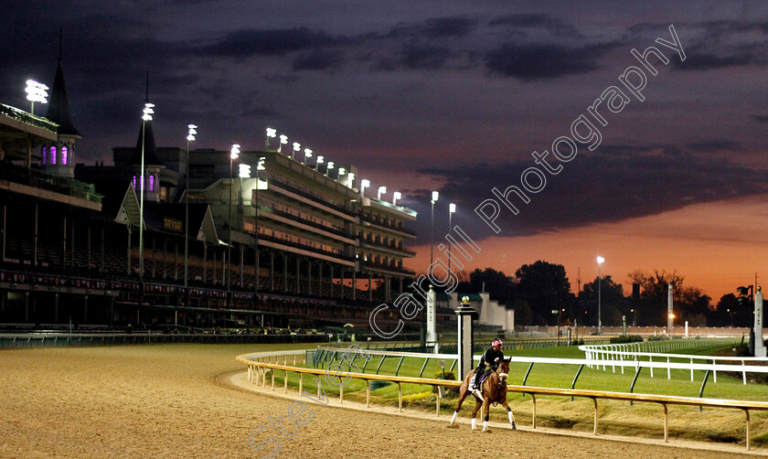 Bellafina-0001 
 BELLAFINA exercising ahead of The Breeders' Cup Juvenile Fillies
Churchill Downs USA 30 Oct 2018 - Pic Steven Cargill / Racingfotos.com