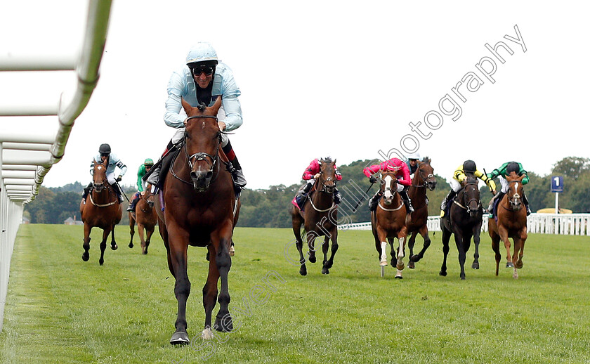 Genetics-0001 
 GENETICS (Andrasch Starke) wins The Dubai Duty Free Shergar Cup Challenge 
Ascot 11 Aug 2018 - Pic Steven Cargill / Racingfotos.com