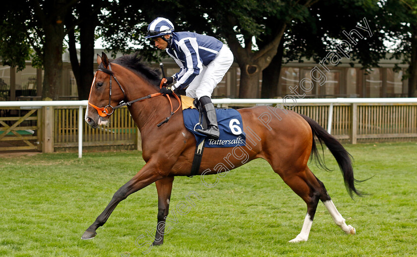 Mahogany-Bay-0002 
 MAHOGANY BAY (Sean Levey)
Newmarket 10 Aug 2024 - Pic Steven Cargill / Racingfotos.com