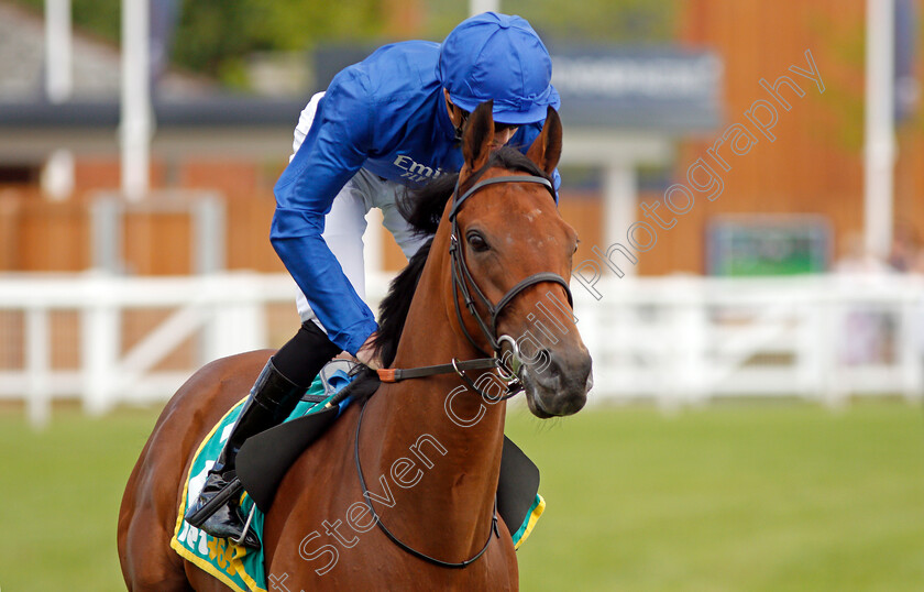 First-Nation-0001 
 FIRST NATION (James Doyle)
Newbury 20 Jul 2019 - Pic Steven Cargill / Racingfotos.com