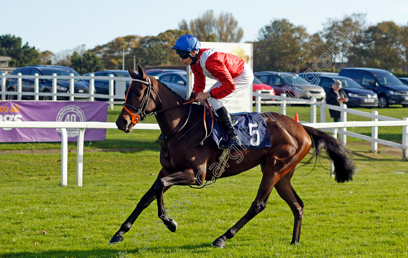 Star-Cast-0001 
 STAR CAST (Luke Morris)
Yarmouth 22 Oct 2024 - Pic Steven Cargill / Racingfotos.com