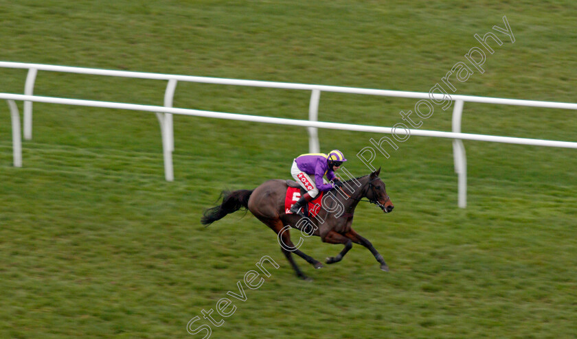 Zanza-0001 
 ZANZA (Richard Johnson) wins The Watch Racing Free Online At Ladbrokes Handicap Chase
Newbury 28 Nov 2020 - Pic Steven Cargill / Racingfotos.com