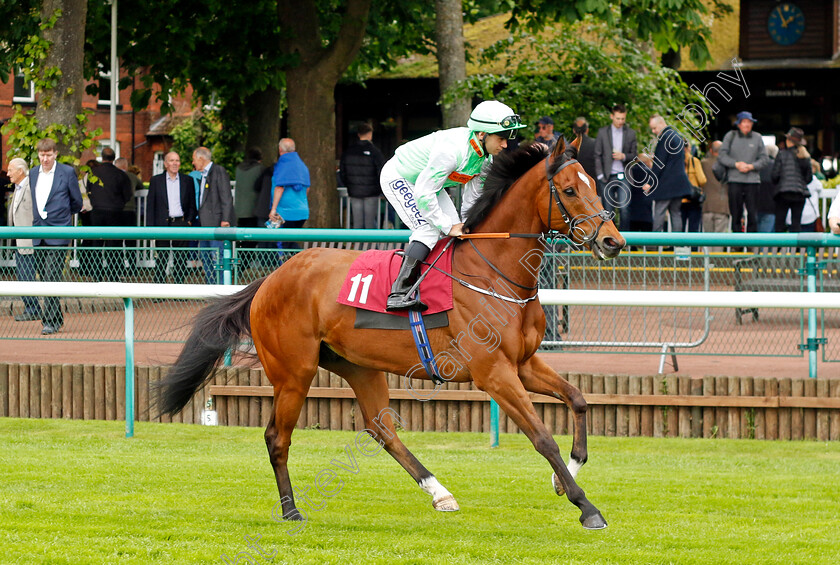 Haveyoumissedme 
 HAVEYOUMISSEDME (Marco Ghiani)
Haydock 21 May 2022 - Pic Steven Cargill / Racingfotos.com